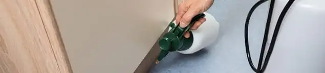 Bed bug exterminator treating baseboards and cracks with targeted spray in Kansas City, KS