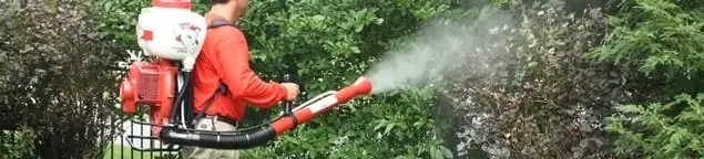 Mosquito control technician fogging shrubs and landscaping for mosquito treatment in Kansas City, KS