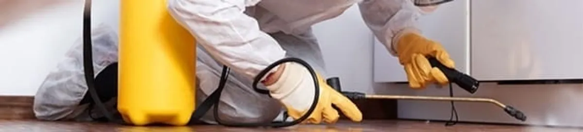 Roach exterminator treating cracks and crevices along kitchen baseboards in Kansas City, KS