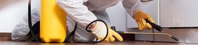 Roach exterminator treating cracks and crevices along kitchen baseboards in Kansas City, KS