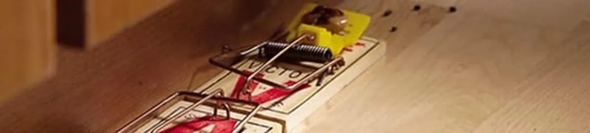 Rodent trap set indoors for rodent control and prevention in Kansas City, KS